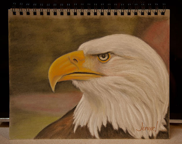 Eagle Pastel Pencil Study - Copyright 2017, Jephyr (Jeff Curtis), All Rights Reserved - Pastel Study